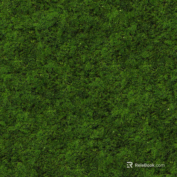 moss texture