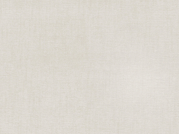 plain cloth texture (ID:ffaag32856)