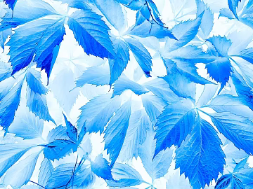 Plant painting texture (ID:ffaeg71533)