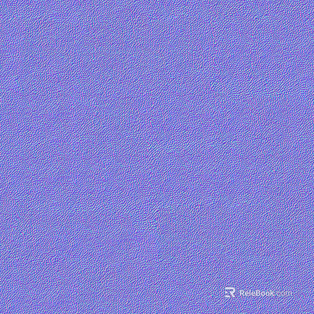 Normal Bump texture