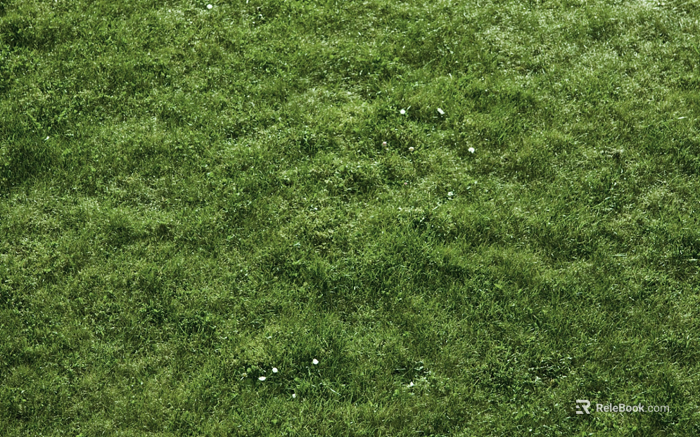 Turf texture