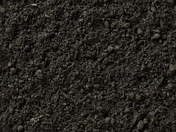 Mud texture (ID:ffach191086)