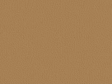 Coarse-grain leather texture (ID:ffach345168)