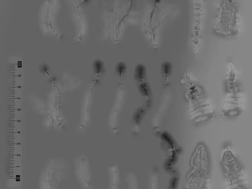 Black and White Bump texture (ID:ffacf6352)