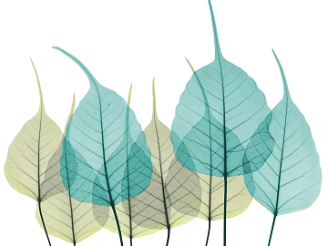decorative painting texture (ID:ffabg04541)