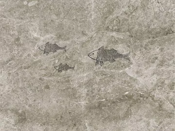 Murals texture (ID:ffaff5217)