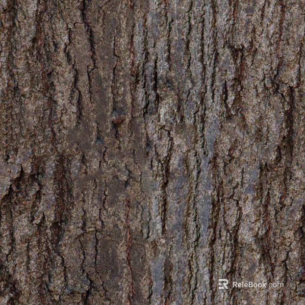 bark texture