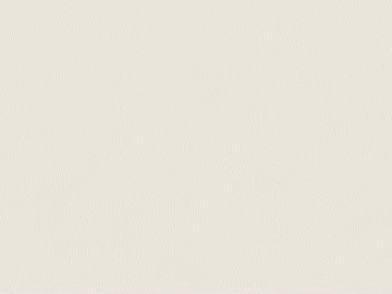 fine grain leather texture (ID:ffagg85384)