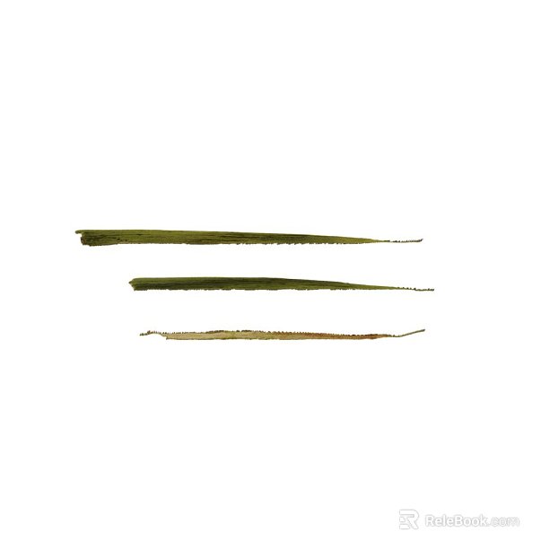 Leaf PBR texture