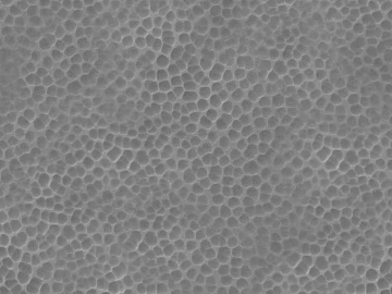 Black and White Bump texture (ID:ffaeg29951)