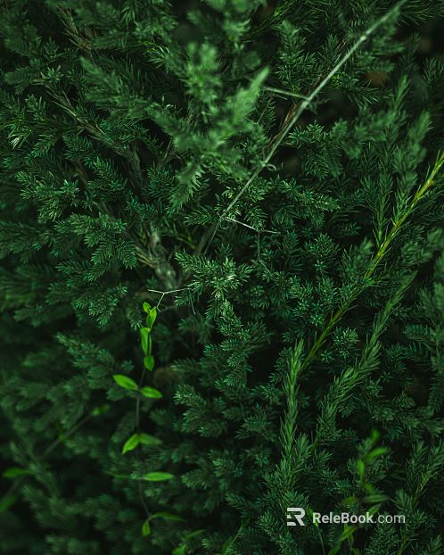 Plant painting texture
