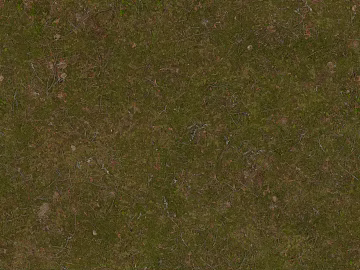 grassland soil wetland ground texture (ID:ffach306716)