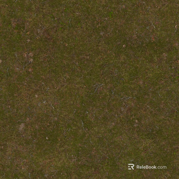 grassland soil wetland ground texture