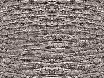 bark texture (ID:ffach412846)