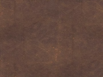 Coarse-grain leather texture (ID:ffagg25246)