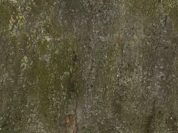 bark texture (ID:ffaag41047)