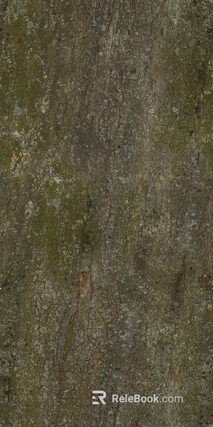 bark texture