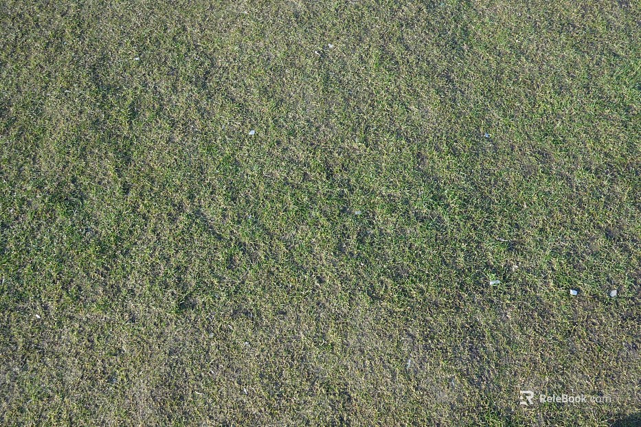Turf texture
