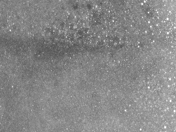 Highlight Mask texture (ID:ffaaf9868)