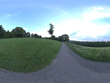 outdoor rag road woods daytime hdr texture (ID:ffabg58441)