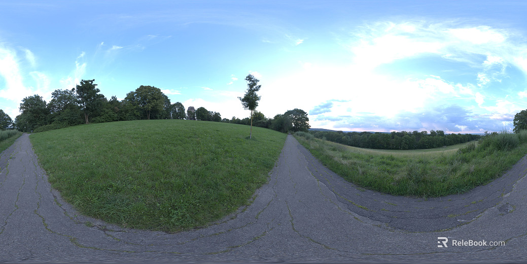 outdoor rag road woods daytime hdr texture