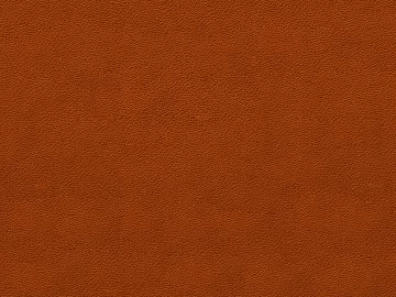 fine grain leather texture (ID:ffacg04686)