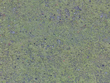 Gray green moss concrete outdoor ground 3d model