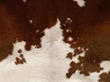 animal fur texture (ID:ffagg95272)