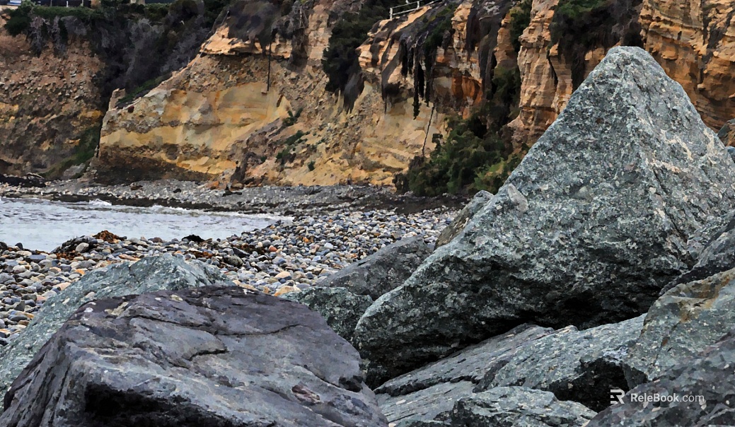 Wild Scenery texture