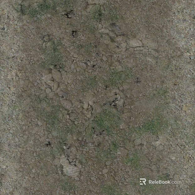 Muddy ground texture