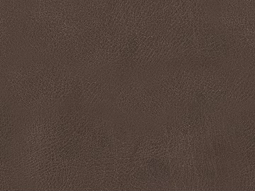 fine grain leather texture (ID:ffaag42261)