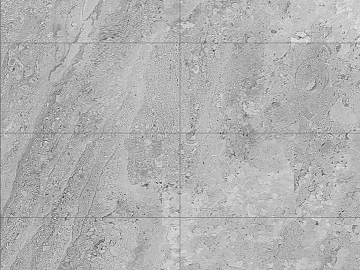 Black and White Bump texture (ID:ffaeg27969)