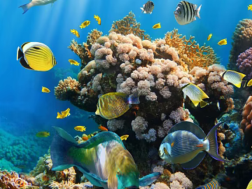 Fish tank texture (ID:ffach680656)