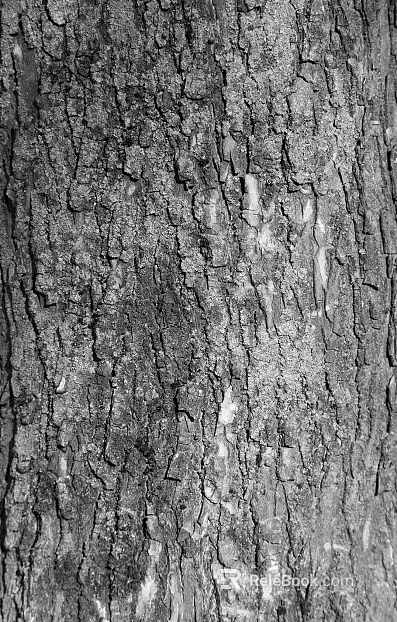 Black and White Bump texture