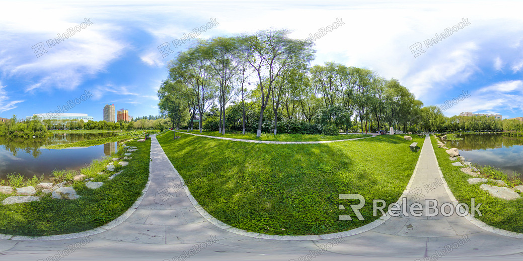 HDR Green Trailway Forest Leisure Riverside texture