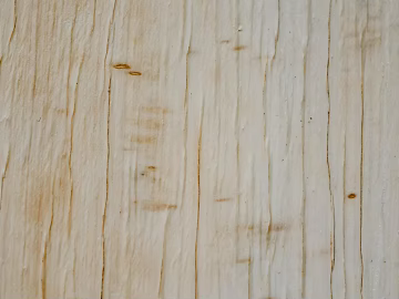 old wood texture (ID:ffagg95853)