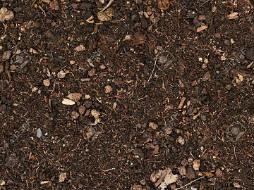 Ground texture (ID:ffadf8147)
