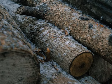 Wood Grey Wood texture (ID:ffabg51297)