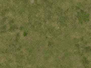 Turf texture (ID:ffabg75617)
