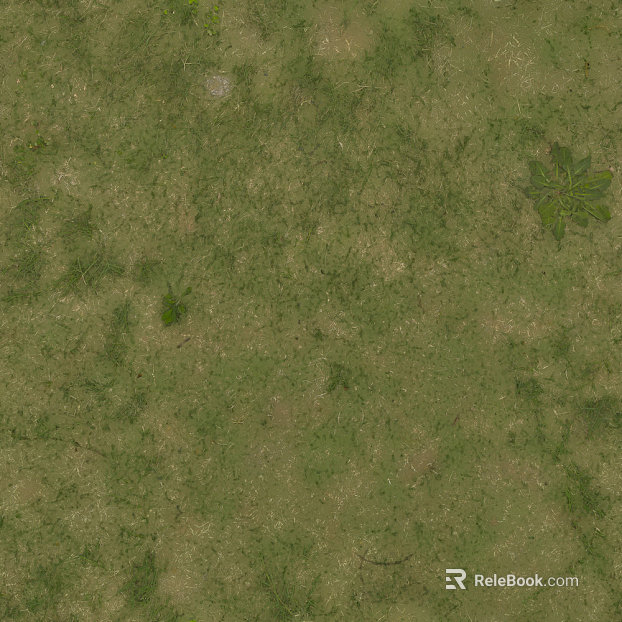 Turf texture