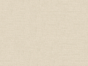 plain cloth texture (ID:ffacg21595)