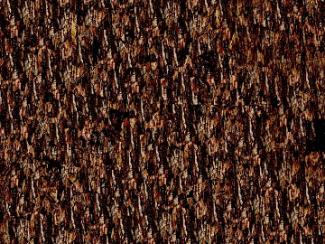 bark texture (ID:ffadg52424)