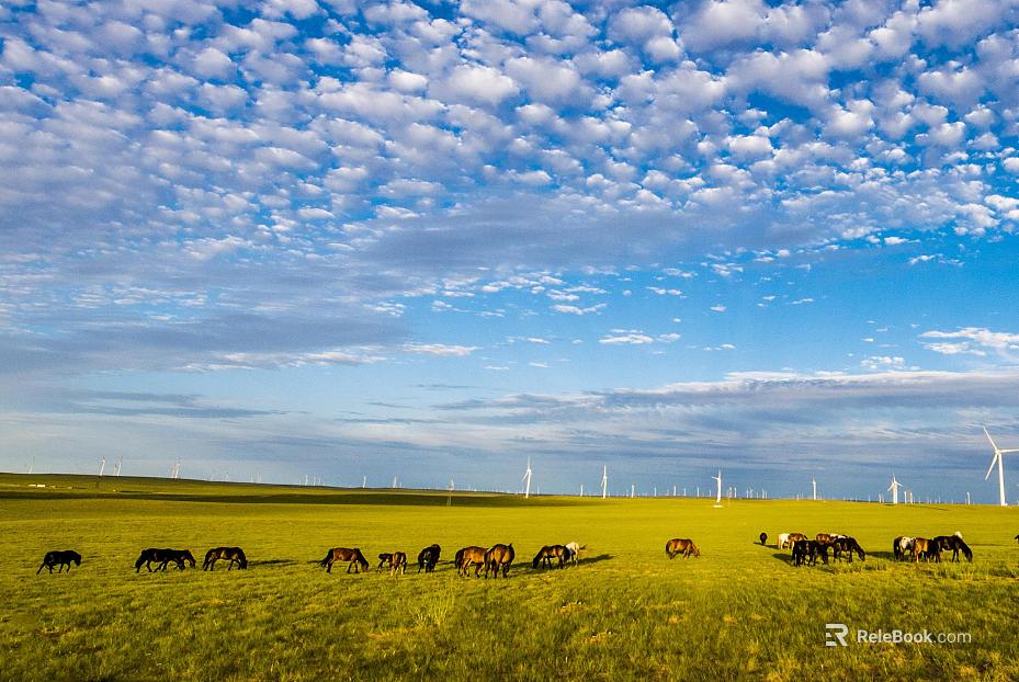 Wild Scenery texture