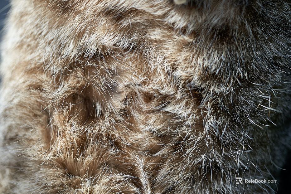 animal fur texture