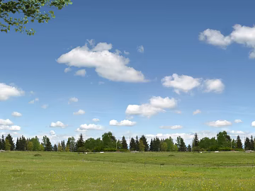 Wild Scenery texture (ID:ffacg73772)