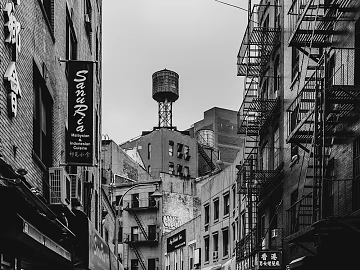 black and white painting 3d model