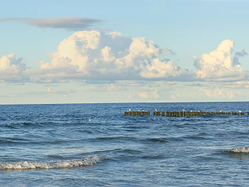 Exterior texture (ID:ffacg78583)