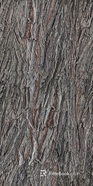 bark texture