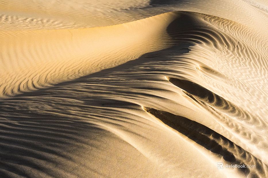 Desert texture