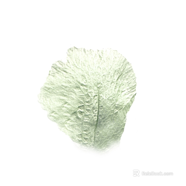 Light green plant leaf natural decoration texture
